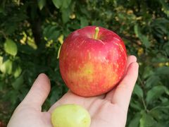 -北镇龙岗子生态园