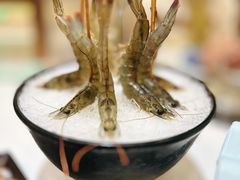 深水鲜活虾-帝皇海海鲜豆捞(桐泾商务广场店)