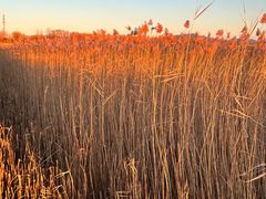 -野鸭湖国家湿地公园