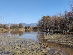 -西昌邛海湿地