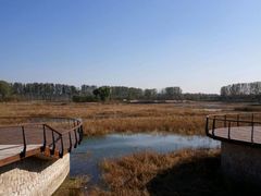 -东郊湿地公园