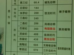 android_upload_pic-上海昆虫博物馆