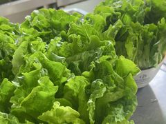 -禾禾烤肉