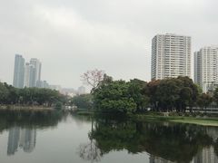 -荔湾湖公园