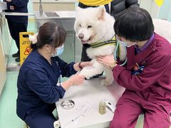 -北京观赏动物医院·24小时大型综合·猫专科·异宠专科