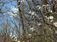 -沈阳辉山风景区