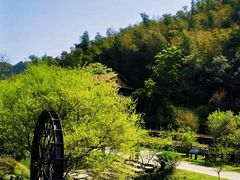 -常德桃花源景区