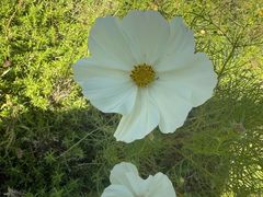 -桑干河大峡谷旅游区