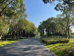 -白塘生态植物园