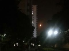 -长藤鬼校(龙翔店)