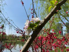 -西海子公园