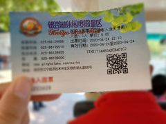 -南京银杏湖乐园