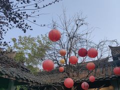 -古今茶语·峨眉山有机茶体验馆