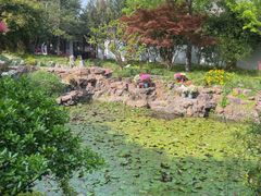-上海醉白池公园