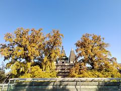 -北京石刻艺术博物馆(五塔寺)