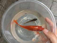 -鲁迅公园-垂钓中心