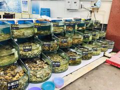 -烁佳海鲜大馅饺子