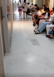 -武汉都市妇产医院