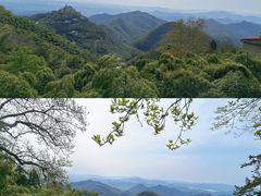 -莫干山风景区
