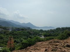 -杨梅坑