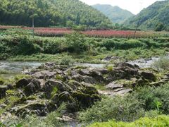 -鹿亭中村