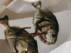 -青蓬蒸汽海鲜·深圳老字号·团建聚会(壹方城店)