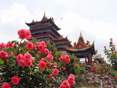 -蓬莱仙岛