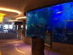 大堂-艺厨风尚餐厅 · 桔钓沙莱华度假酒店