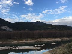 -小芝红树林