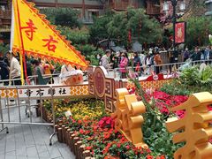 -越秀西湖花市(广州城市广场花卉店)