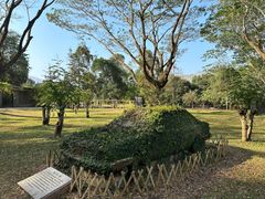 -中国科学院西双版纳热带植物园