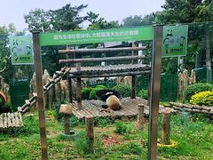 -大连森林动物园