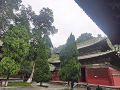 -报恩寺(平武县)