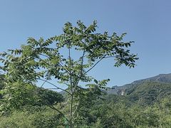 -云蒙山风景区