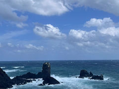 -涉地可支