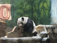 -灵玲国际马戏城