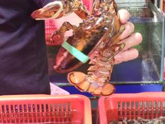 -巽寮印象美食部落餐厅·海鲜·地方特色菜(惠州体验店)