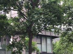-SOHO尚都