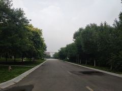 -天津市武清区杨村第一中学