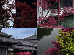 -韩湘水博园