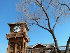 -永定河休闲森林公园