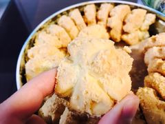 -珍妮曲奇聪明小熊(尖沙咀店)