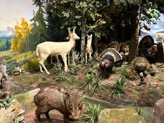 -陕西自然博物馆