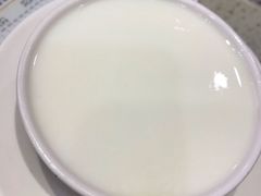 双皮奶-义顺牛奶公司(新马路老店)