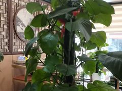 -尚岛私房菜(西方巷店)