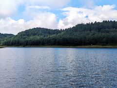 -大浪坝森林公园