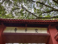 -南京老山国家森林公园