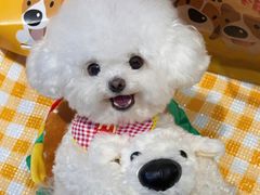 -麦当劳(北京路广百广场店)