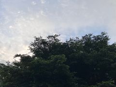 -荔枝公园(福田区)