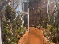 -国家植物园南园